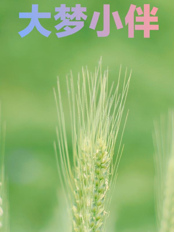 大梦小说全集免费阅读
